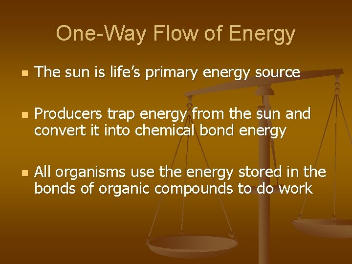 One-Way Flow of Energy n n n The sun is life’s primary energy source
