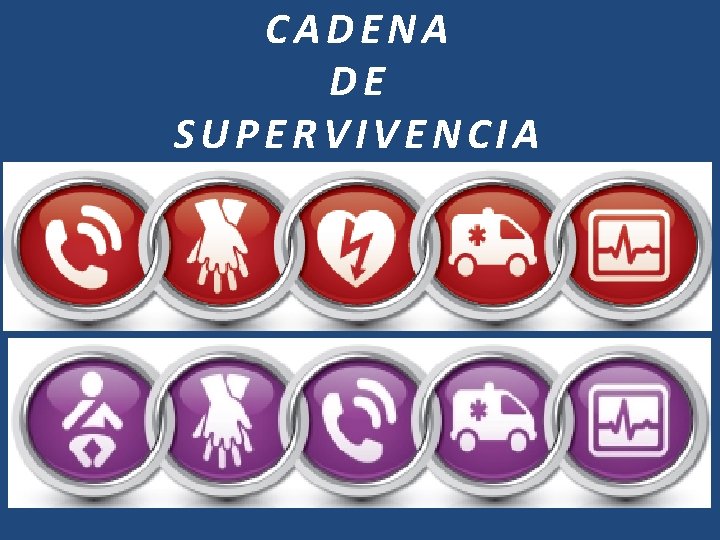 CADENA DE SUPERVIVENCIA 