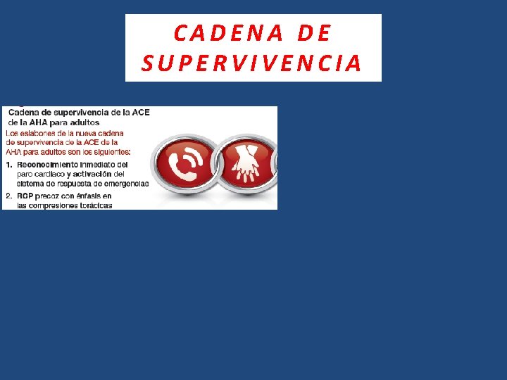 CADENA DE SUPERVIVENCIA 