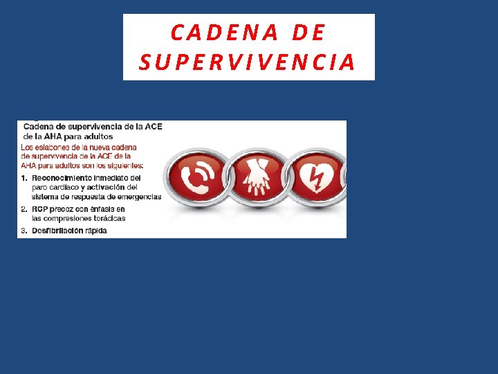 CADENA DE SUPERVIVENCIA ? 