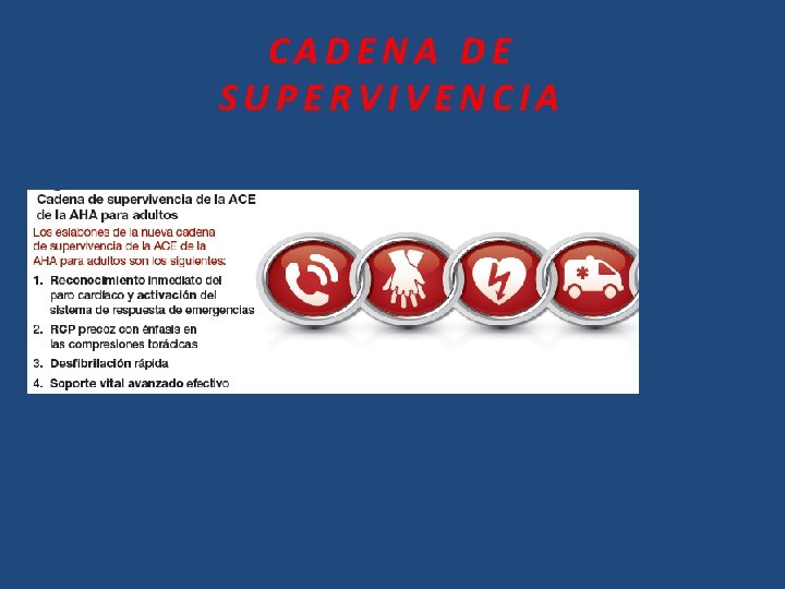 CADENA DE SUPERVIVENCIA ? 