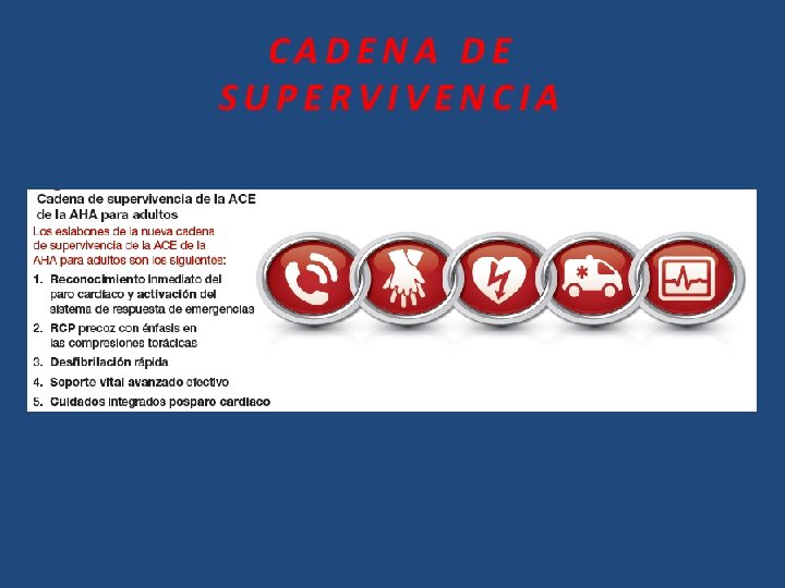 CADENA DE SUPERVIVENCIA ? 