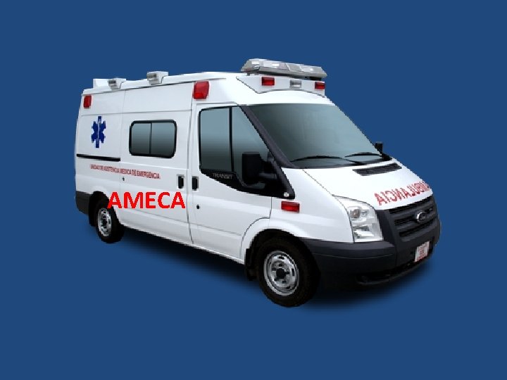 AMECA 