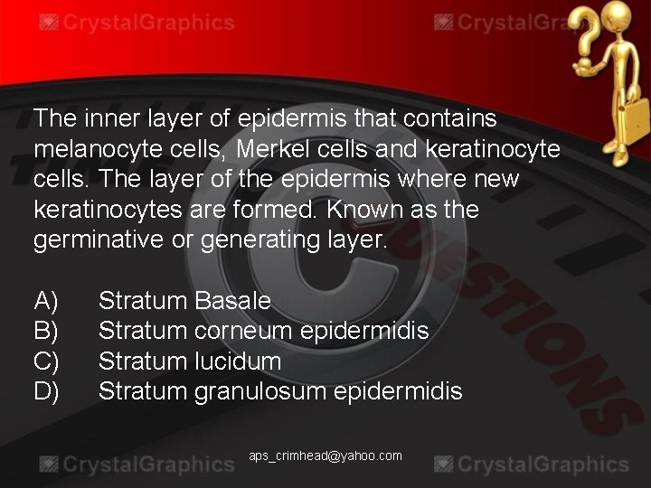 The inner layer of epidermis that contains melanocyte cells, Merkel cells and keratinocyte cells.