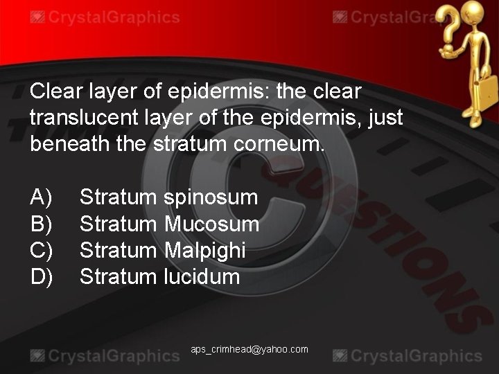 Clear layer of epidermis: the clear translucent layer of the epidermis, just beneath the