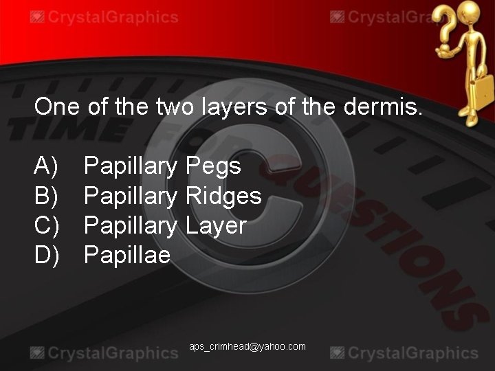 One of the two layers of the dermis. A) B) C) D) Papillary Pegs