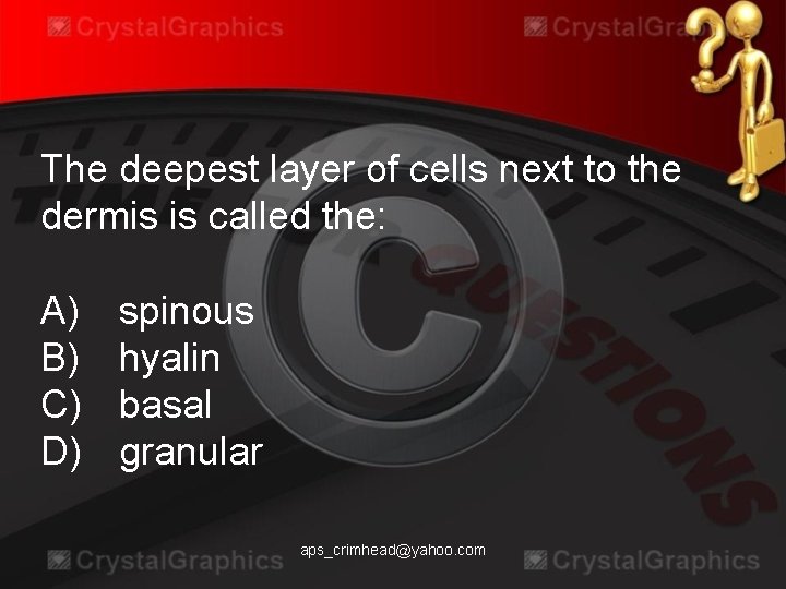 The deepest layer of cells next to the dermis is called the: A) B)