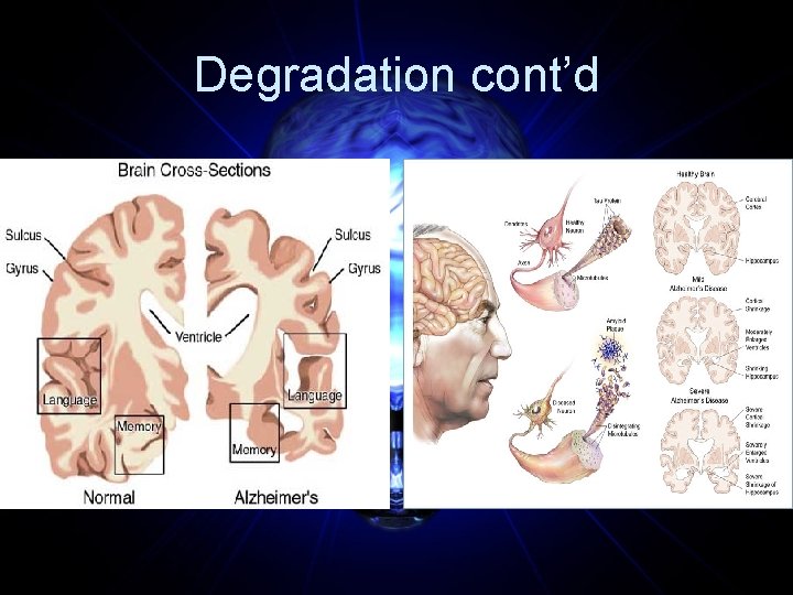 Degradation cont’d 