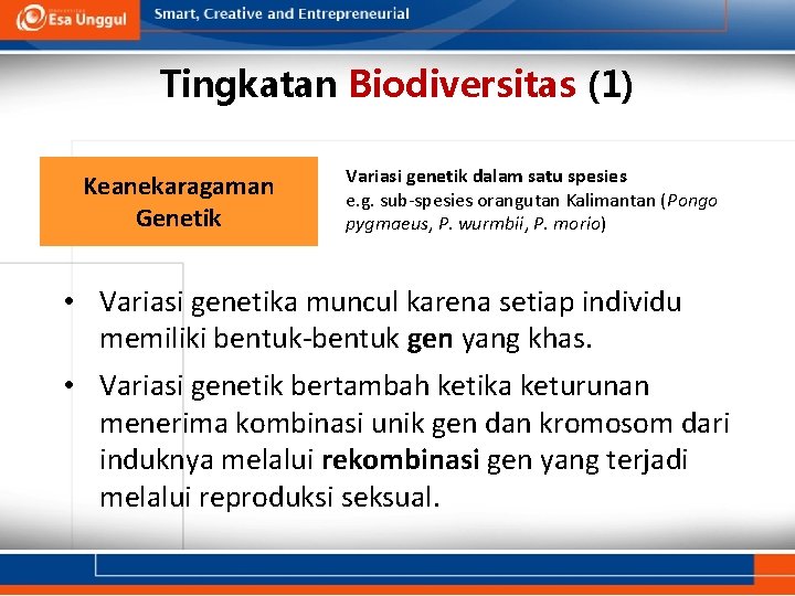 Tingkatan Biodiversitas (1) Keanekaragaman Genetik Variasi genetik dalam satu spesies e. g. sub-spesies orangutan