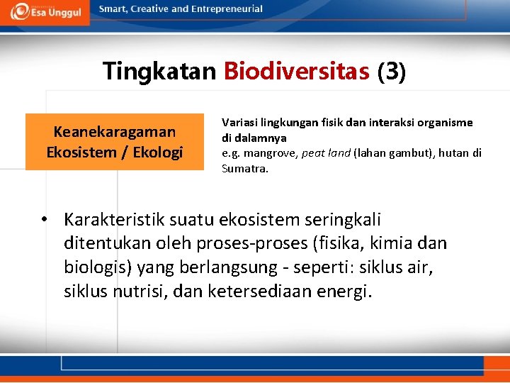 Tingkatan Biodiversitas (3) Keanekaragaman Ekosistem / Ekologi Variasi lingkungan fisik dan interaksi organisme di
