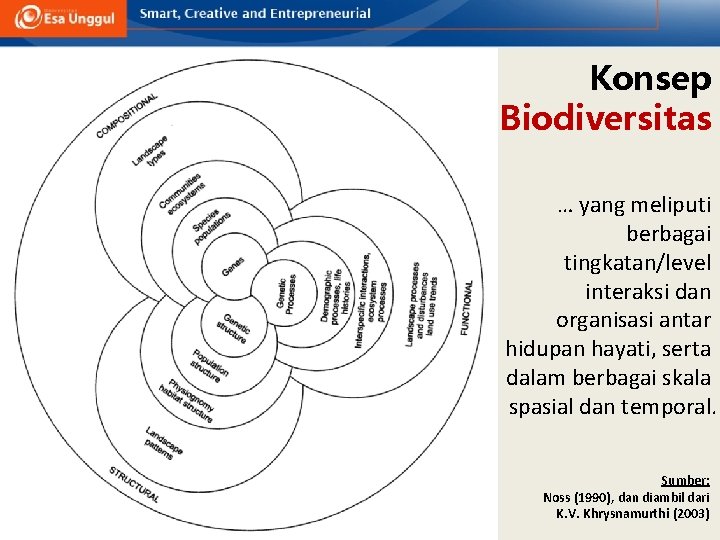 Konsep Biodiversitas … yang meliputi berbagai tingkatan/level interaksi dan organisasi antar hidupan hayati, serta