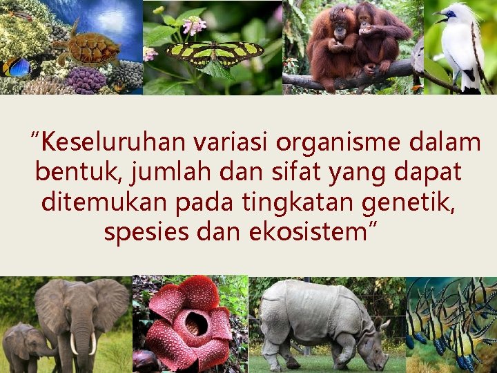 “Keseluruhan variasi organisme dalam bentuk, jumlah dan sifat yang dapat ditemukan pada tingkatan genetik,