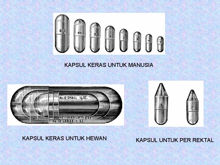 KAPSUL KERAS UNTUK MANUSIA KAPSUL KERAS UNTUK HEWAN KAPSUL UNTUK PER REKTAL 