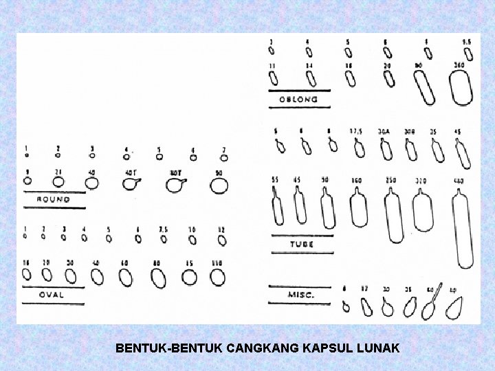 BENTUK-BENTUK CANGKANG KAPSUL LUNAK 