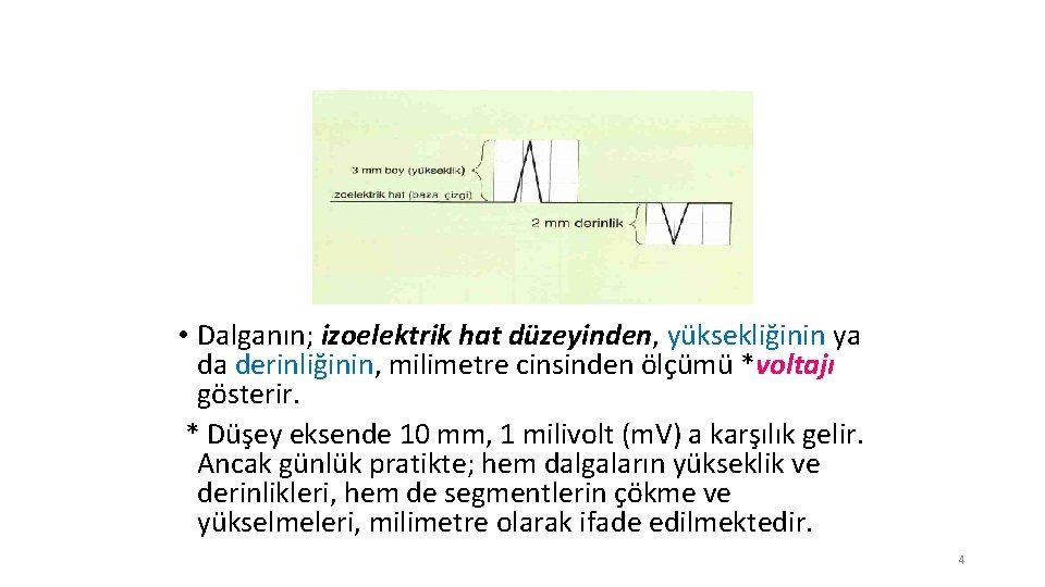  • Dalganın; izoelektrik hat düzeyinden, yüksekliğinin ya da derinliğinin, milimetre cinsinden ölçümü *voltajı