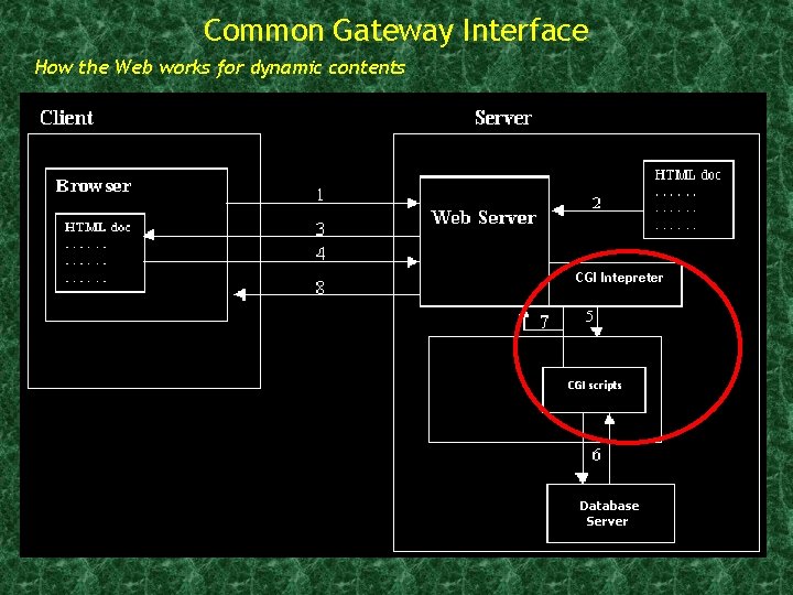 Common Gateway Interface How the Web works for dynamic contents CGI Intepreter CGI scripts