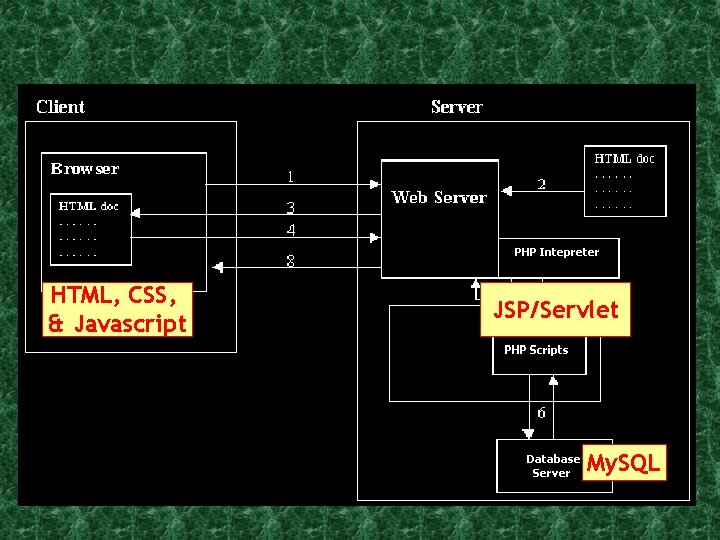 HTML, CSS, & Javascript JSP/Servlet My. SQL 