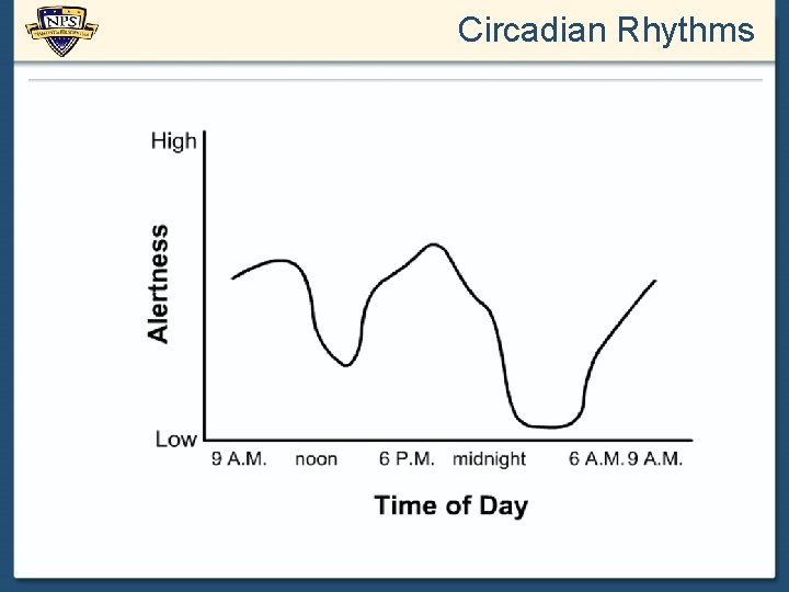 Circadian Rhythms 