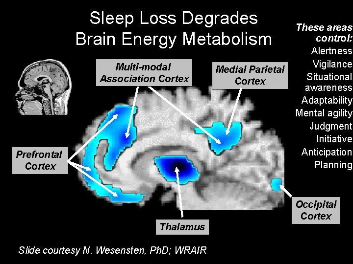 Sleep Loss Degrades Brain Energy Metabolism Multi-modal Association Cortex Prefrontal Cortex Thalamus Slide courtesy