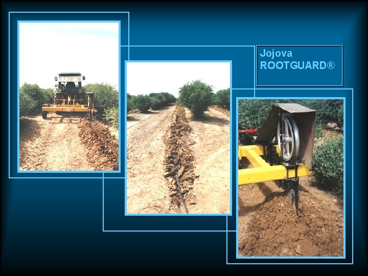 Jojova ROOTGUARD® Jojova ROOTGUARD®