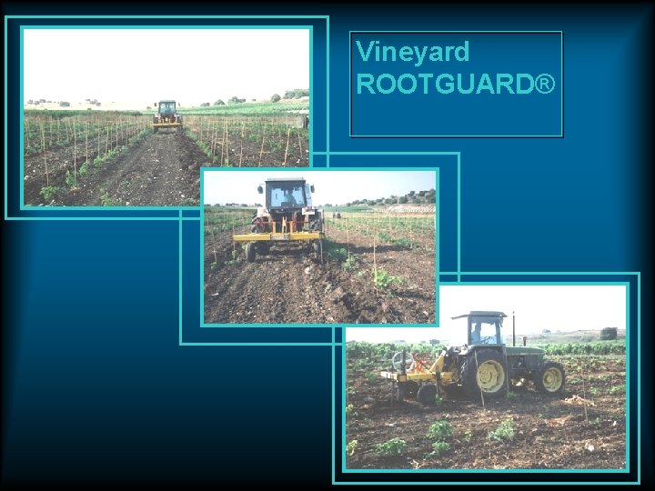 Vineyard ROOTGUARD® Vineyard ROOTGUARD®