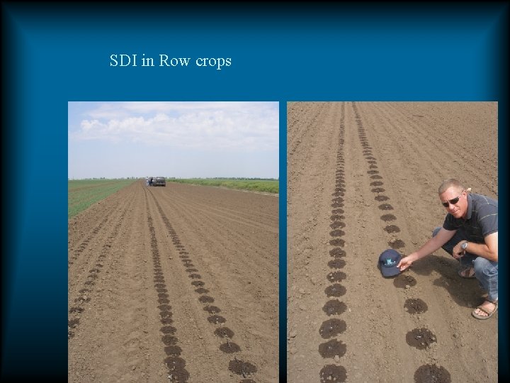 SDI in Row crops SDI in Row crops