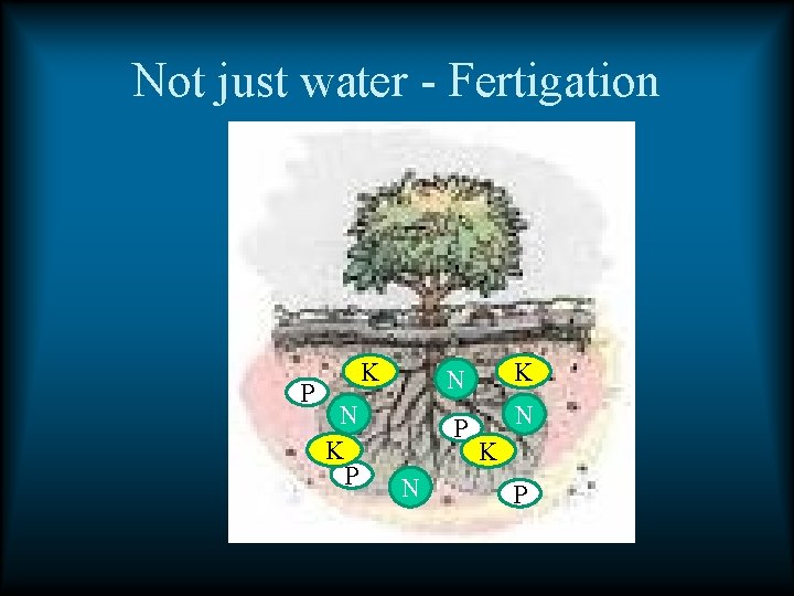 Not just water - Fertigation P K N K P K N P N Not just water - Fertigation P K N K P K N P N