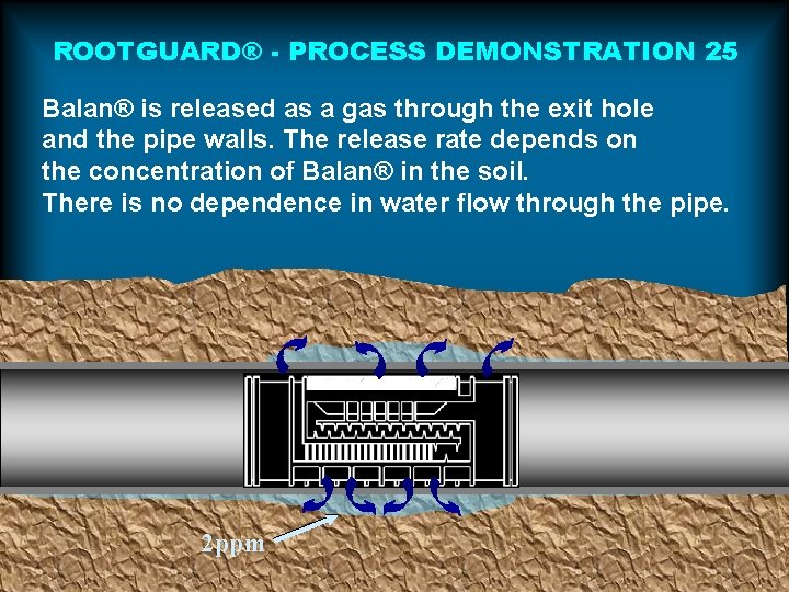 ROOTGUARD® - PROCESS DEMONSTRATION 25 Balan® is released as a gas through the exit ROOTGUARD® - PROCESS DEMONSTRATION 25 Balan® is released as a gas through the exit