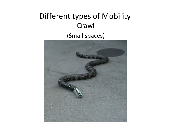 Different types of Mobility Crawl (Small spaces) 