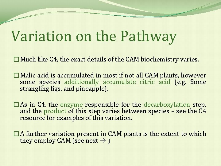 Variation on the Pathway �Much like C 4, the exact details of the CAM