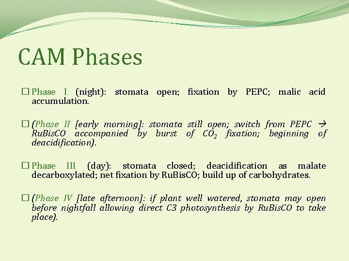 CAM Phases � Phase I (night): stomata open; fixation by PEPC; malic acid accumulation.