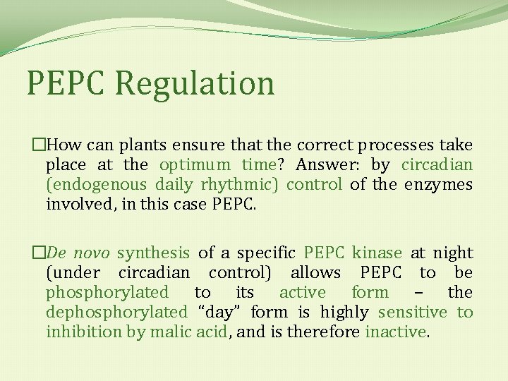 PEPC Regulation �How can plants ensure that the correct processes take place at the