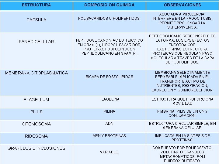 ESTRUCTURA CAPSULA PARED CELULAR MEMBRANA CITOPLASMATICA COMPOSICION QUIMICA POLISACARIDOS O POLIPEPTIDOS. PEPTIDOGLICANO Y ACIDO