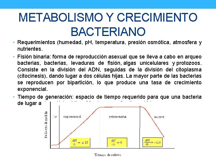 METABOLISMO Y CRECIMIENTO BACTERIANO • Requerimientos (humedad, p. H, temperatura, presión osmótica, atmosfera y