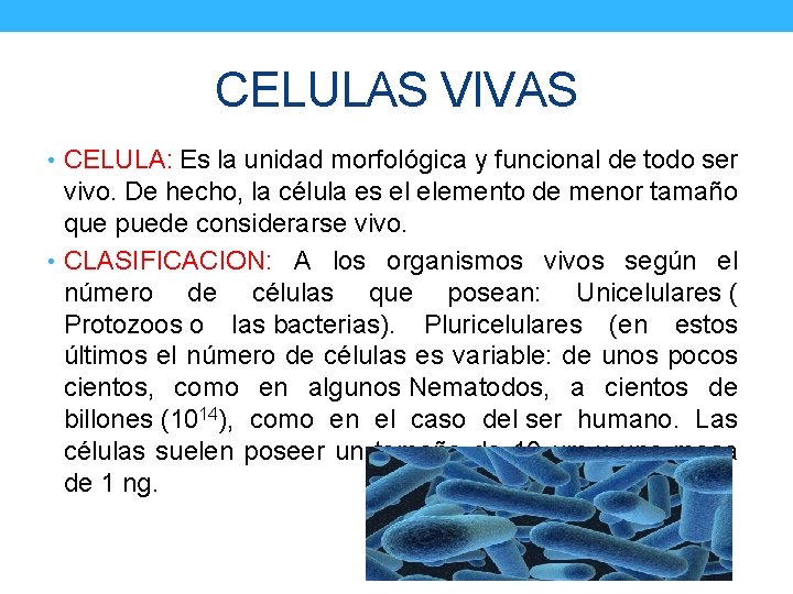 CELULAS VIVAS • CELULA: Es la unidad morfológica y funcional de todo ser vivo.