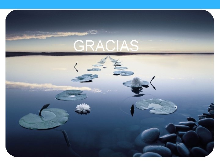 GRACIAS 