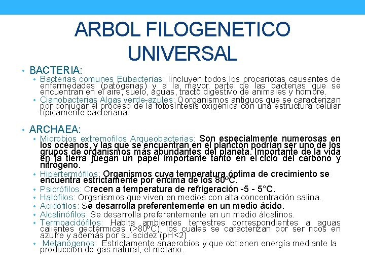 ARBOL FILOGENETICO UNIVERSAL • BACTERIA: • Bacterias comunes Eubacterias: Iincluyen todos los procariotas causantes