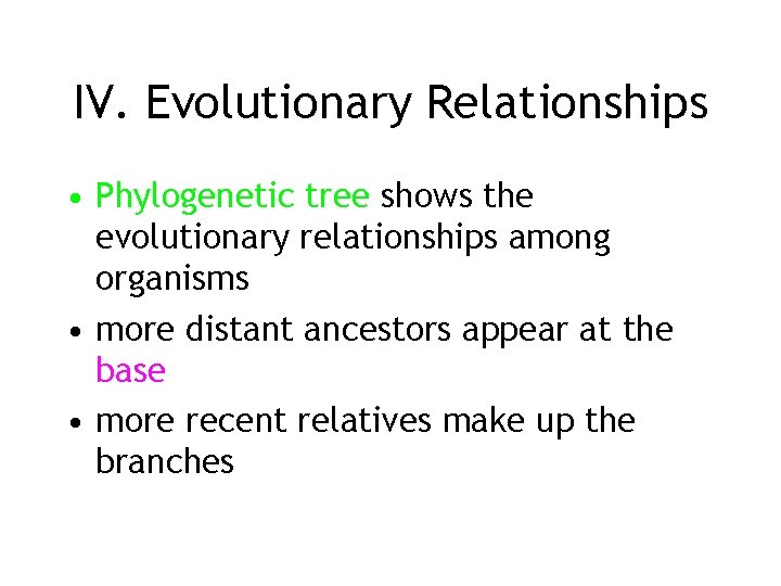 IV. Evolutionary Relationships • Phylogenetic tree shows the evolutionary relationships among organisms • more