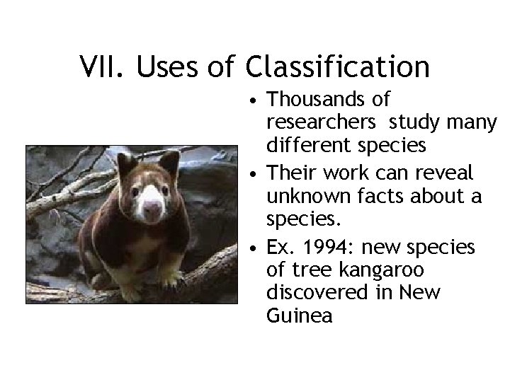 VII. Uses of Classification • Thousands of researchers study many different species • Their