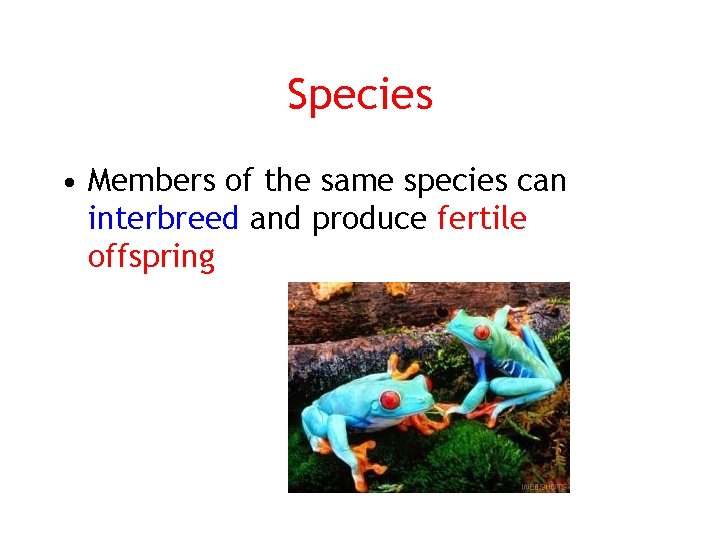 Species • Members of the same species can interbreed and produce fertile offspring 