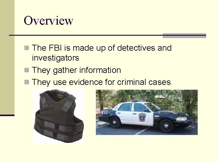 Overview n The FBI is made up of detectives and investigators n They gather