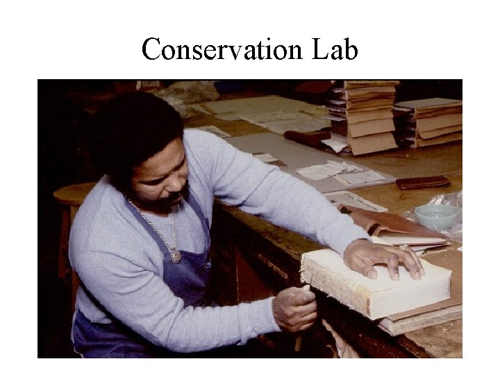 Conservation Lab 