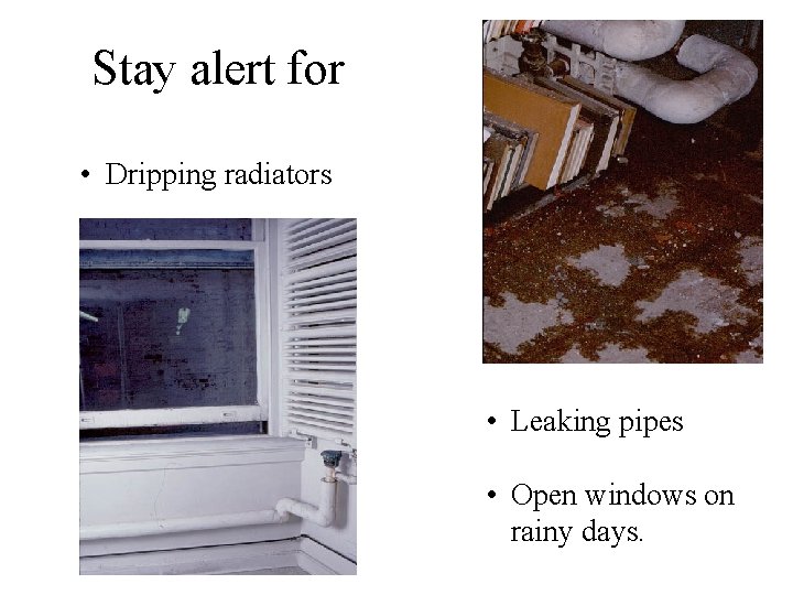 Stay alert for • Dripping radiators • Leaking pipes • Open windows on rainy