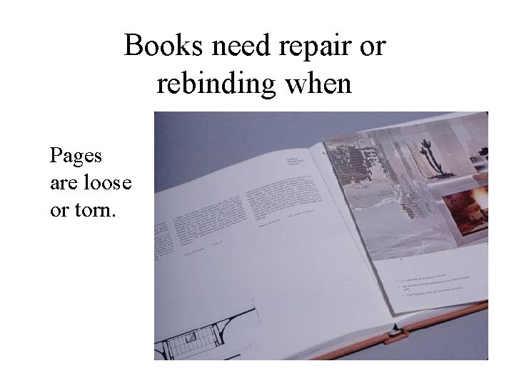 Books need repair or rebinding when Pages are loose or torn. 