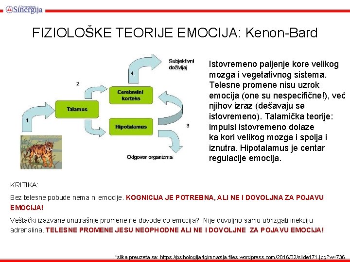 FIZIOLOŠKE TEORIJE EMOCIJA: Kenon-Bard Istovremeno paljenje kore velikog mozga i vegetativnog sistema. Telesne promene