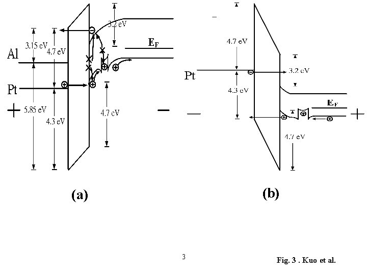 (b) (a) 3 Fig. 3. Kuo et al. 