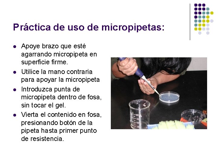 Práctica de uso de micropipetas: l l Apoye brazo que esté agarrando micropipeta en