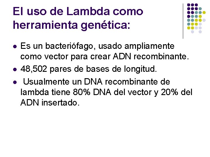 El uso de Lambda como herramienta genética: l l l Es un bacteriófago, usado