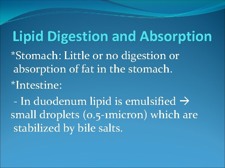 Lipid Digestion and Absorption *Stomach: Little or no digestion or absorption of fat in