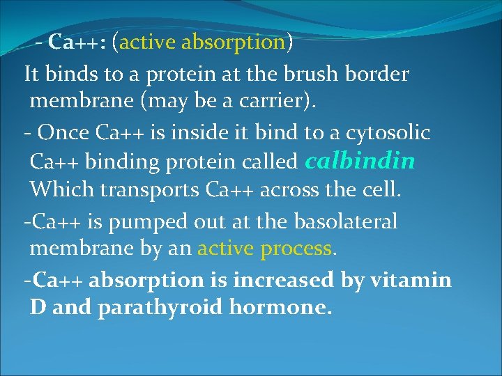 - Ca++: (active absorption) It binds to a protein at the brush border membrane